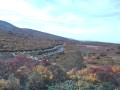須川温泉からの眺め