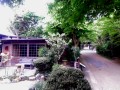 大杉谷