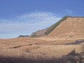 曽爾高原 (IEのみ)