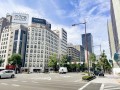 秦野市の里山