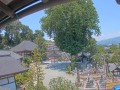 南足柄市 善福寺の大銀杏