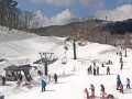 ライブカメラで見る全国のスキー場 ライブカメラで見る全国のスキー場