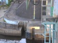 辰巳水門 外水側