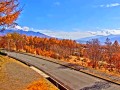 霧ヶ峰高原