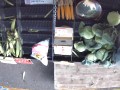 真庭市の野菜販売店