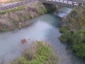 美波町のライブカメラ カメ探