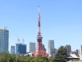 港区芝から見る東京タワー