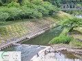 南九州市 岩屋公園キャンプ場