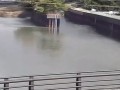 亀の川 和歌山市羽鳥橋水位観測所