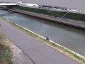和田川 和歌山市広見橋水位観測所